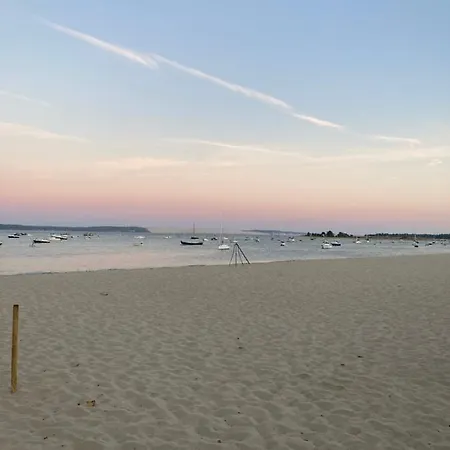 Cap Ferret - Serenite - Piscine, Proche Ocean Et Bassin, Classee 4 Etoiles Meuble De Tourisme * Lège-Cap-Ferret